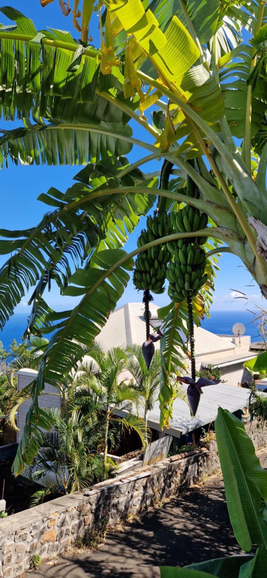 Villa Maloya Saint-Leu Dış mekan fotoğraf
